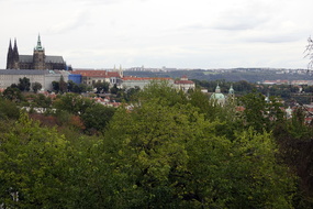  EZS6313