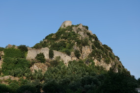 PS1Z8422