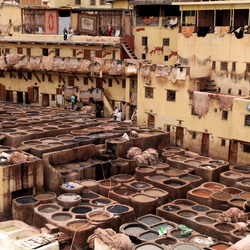 Fès