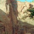Lac Navajo Zion 120