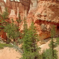 Bryce Canyon 350