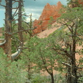 Bryce Canyon 360