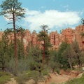 Bryce Canyon 230
