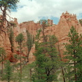 Bryce Canyon 240
